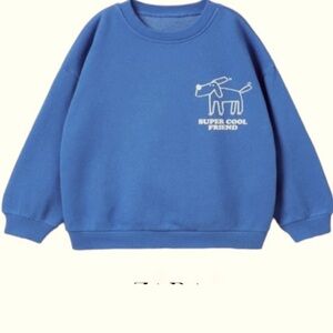 Zara Kids 3-4 sweatshirt